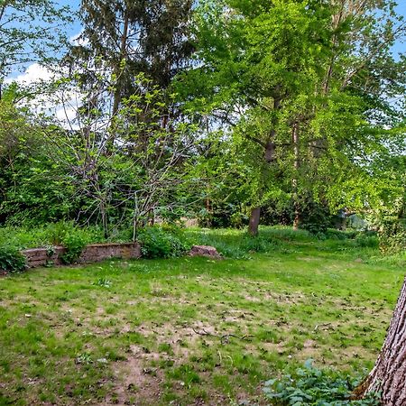 Altstadt Apartment Am Wasser Mit Parkplatz Und Riesigem Garten Bad Kreuznach Zewnętrze zdjęcie