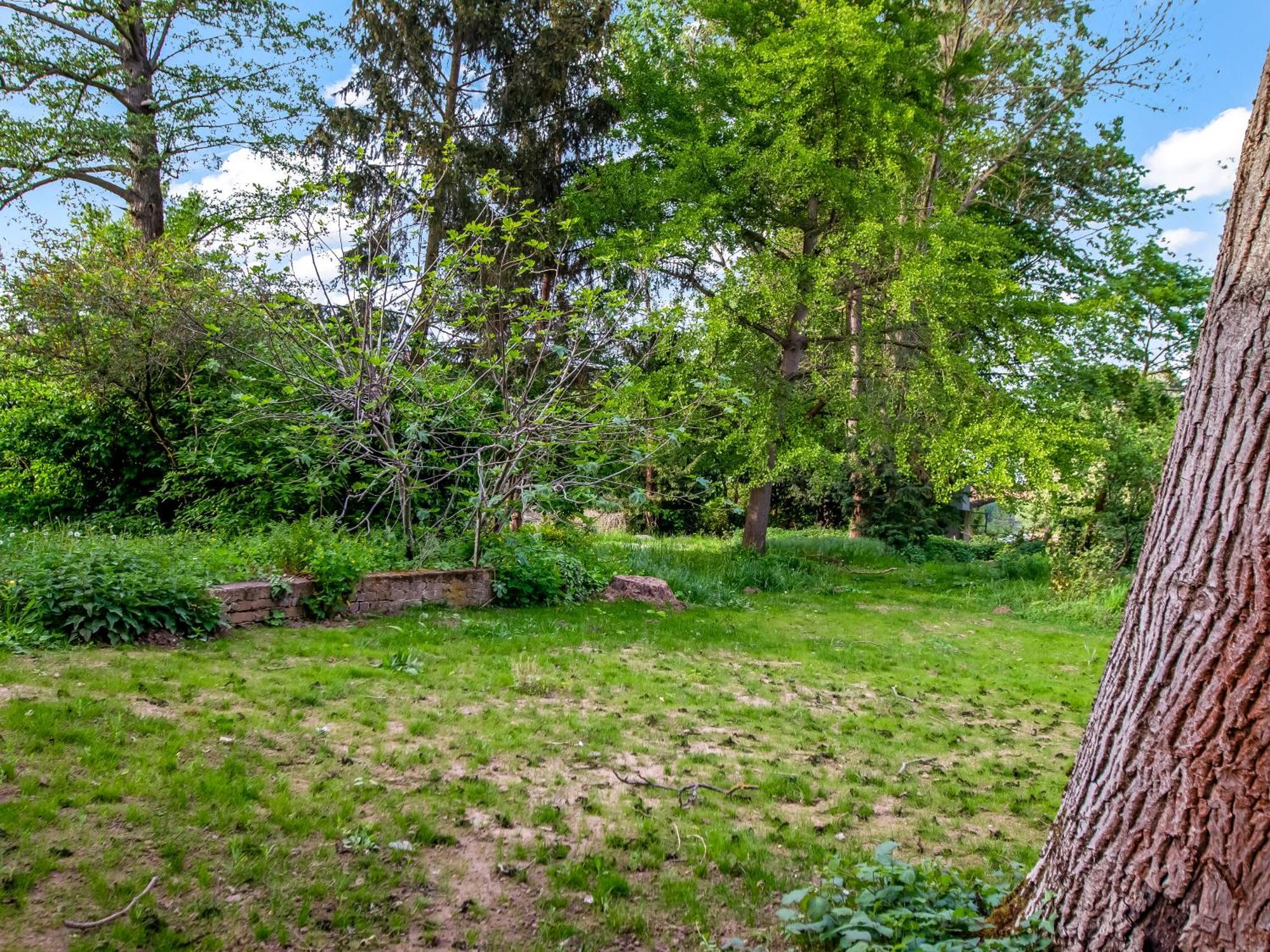 Altstadt Apartment Am Wasser Mit Parkplatz Und Riesigem Garten Bad Kreuznach Zewnętrze zdjęcie